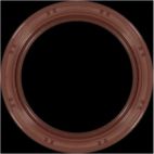 Engine Crankshaft Seal