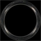 Engine Crankshaft Seal