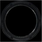Engine Crankshaft Seal