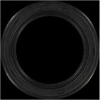 Engine Crankshaft Seal