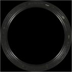 Engine Crankshaft Seal