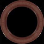 Engine Crankshaft Seal