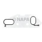 Engine Oil Cooler Gasket
