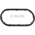 Engine Oil Cooler Gasket