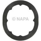 Engine Oil Cooler Gasket