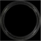 Engine Crankshaft Seal