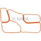 Engine Oil Cooler Gasket