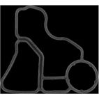 Engine Oil Filter Adapter Gasket