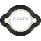 Engine Coolant Outlet Gasket