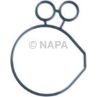 Engine Oil Pump Gasket