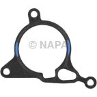 Vacuum Pump Gasket