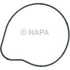 Engine Water Pump Gasket