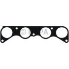 Fuel Injection Plenum Gasket