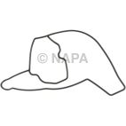 Engine Water Pump Gasket