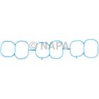 Fuel Injection Plenum Gasket