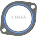 Fuel Injection Plenum Gasket