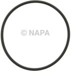 Fuel Injection Plenum Gasket