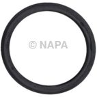 Engine Coolant Outlet Gasket