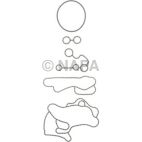 Engine Oil Cooler Gasket