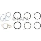 Engine Oil Cooler Gasket