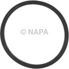Engine Oil Cooler Gasket
