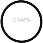 Fuel Pump Gasket