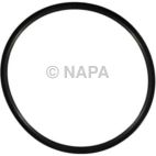 Engine Coolant Thermostat Housing Gasket