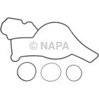 Engine Water Pump Installation Kit