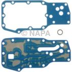 Engine Oil Cooler Gasket