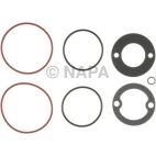 Engine Oil Cooler Gasket