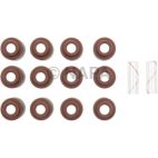 Engine Valve Stem Oil Seal Set