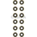 Engine Valve Stem Oil Seal Set