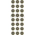 Engine Valve Stem Oil Seal Set