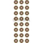 Engine Valve Stem Oil Seal Set