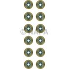 Engine Valve Stem Oil Seal Set