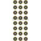 Engine Valve Stem Oil Seal Set