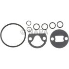 Engine Oil Cooler Gasket