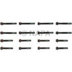 Engine Cylinder Head Bolt Set