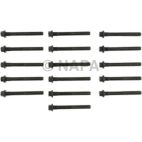 Engine Cylinder Head Bolt Set