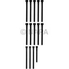 Engine Cylinder Head Bolt Set
