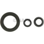 Engine Crankshaft Seal Kit