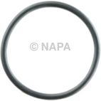 Engine Water Pump Housing O-Ring