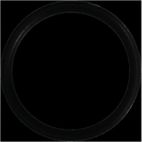 Engine Coolant Outlet O-Ring