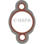Engine Water Pump Gasket