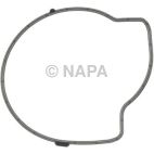 Engine Water Pump Gasket