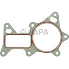 Engine Water Pump Gasket