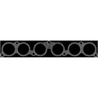 Fuel Injection Plenum Gasket