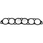 Fuel Injection Plenum Gasket