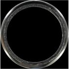 Exhaust Pipe Flange Gasket