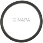 Engine Coolant Outlet Gasket
